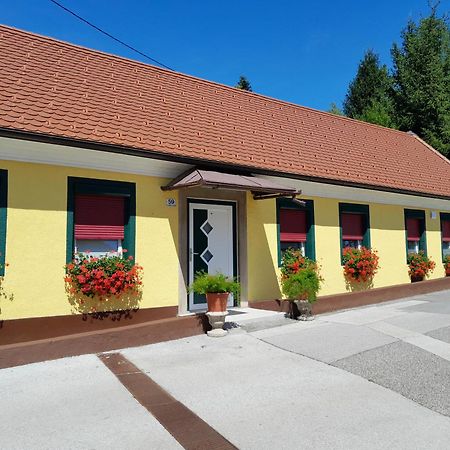 Hotel Pri Belokranjcu Novo Mesto Kültér fotó
