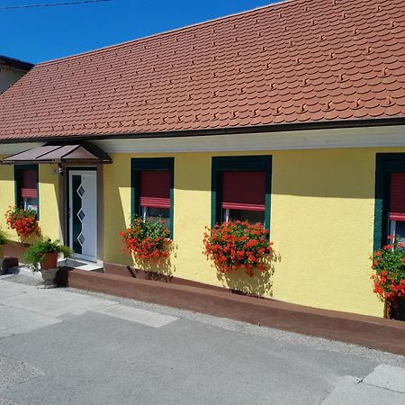 Hotel Pri Belokranjcu Novo Mesto Kültér fotó
