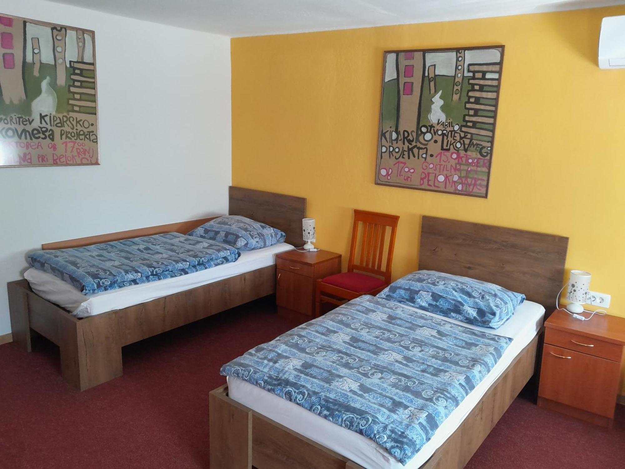 Hotel Pri Belokranjcu Novo Mesto Kültér fotó