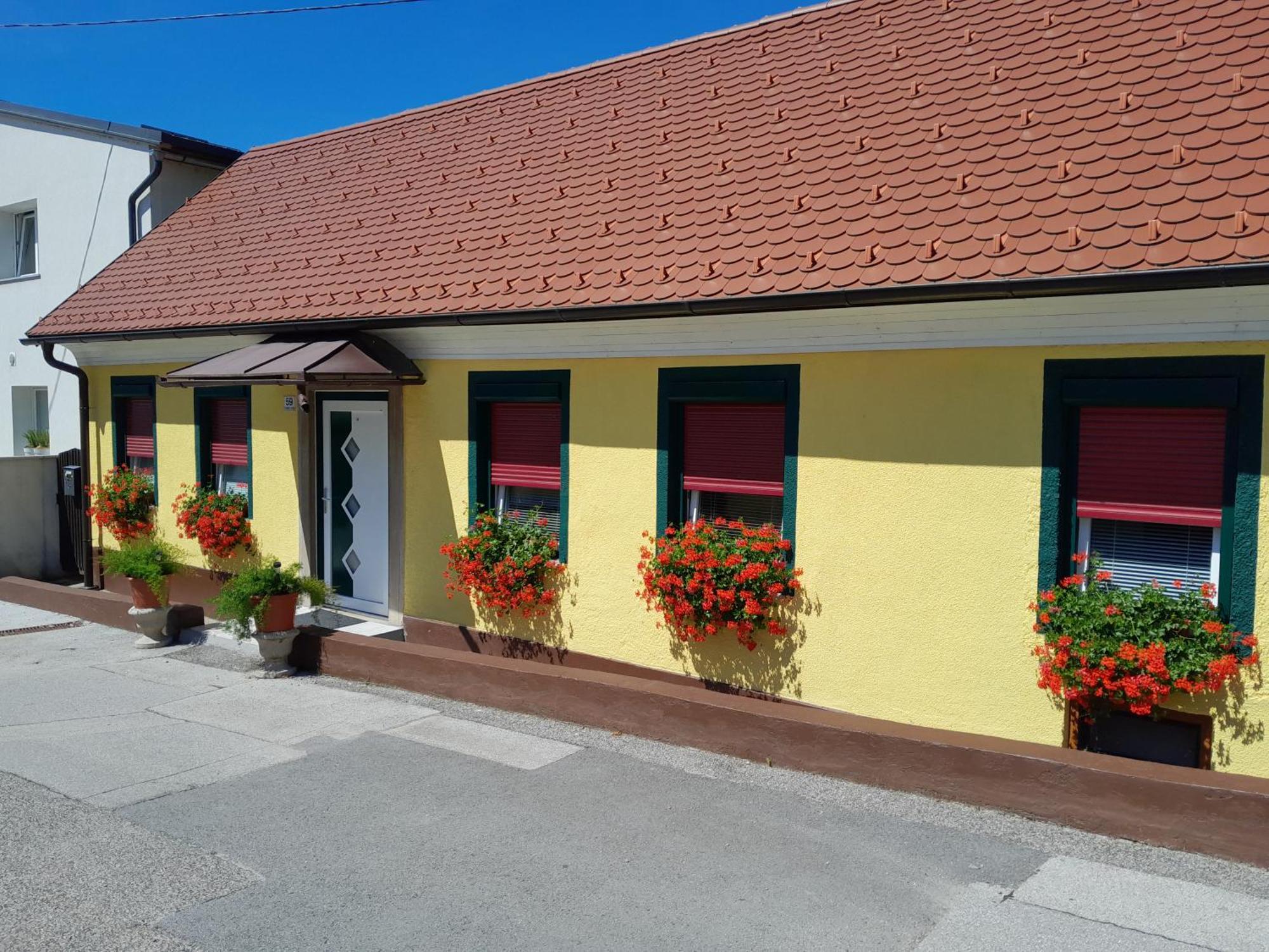 Hotel Pri Belokranjcu Novo Mesto Kültér fotó